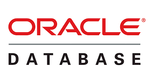 Oracle database server